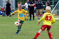 NG012754