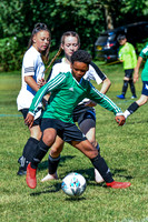 XC1_0567