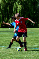 XC1_0952