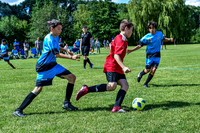 XC1_0955