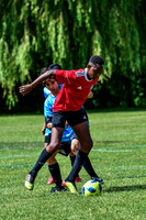 XC1_0962