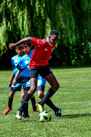 XC1_0963