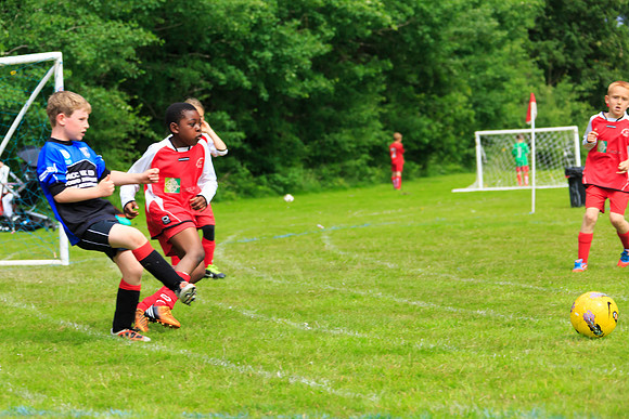 130629 Sandhurst Wanderers U8 at BTJ U9 Trny (24)