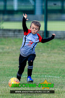 U7 Purley Jubilee @ AFC Reading 2019 Tourny