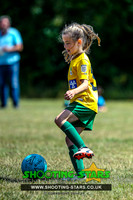 U9 Laurel Park Girls @ AFC Reading 2019 Tourny