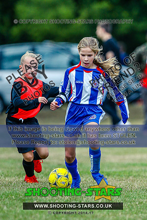 B19A9464