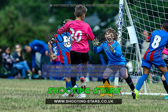 B19A8284