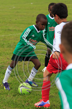 Eldon-2014 246