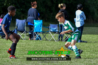SP2_2010