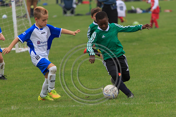 Eldon-2014 311