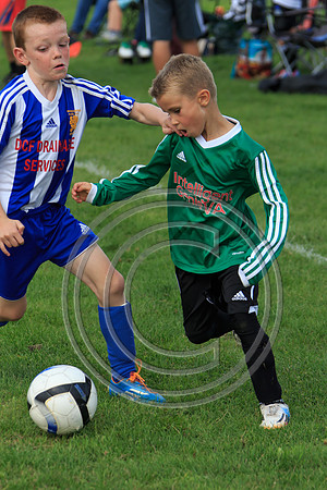 Eldon-2014 901