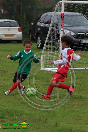Eldon-2014 212