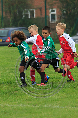 Eldon-2014 168