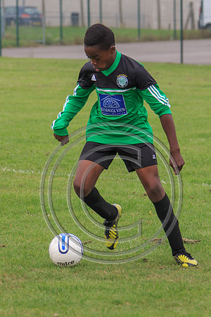 Eldon-2014 121