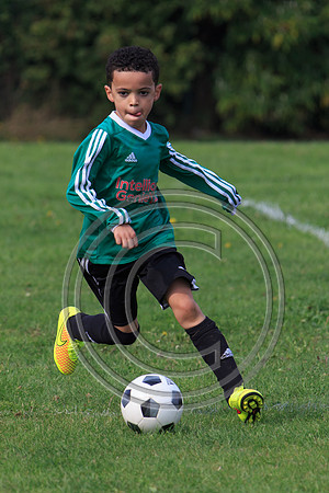 Eldon-2014 874