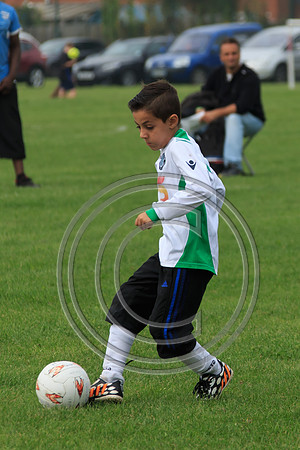 Eldon-2014 551