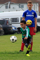Eldon-2014 791