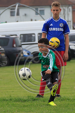 Eldon-2014 791