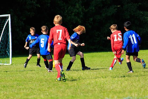 130629 Sandhurst Wanderers U8 at BTJ U9 Trny (575)