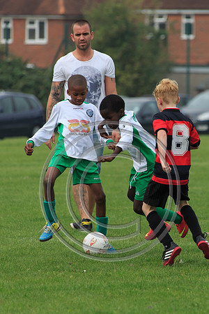 Eldon-2014 515