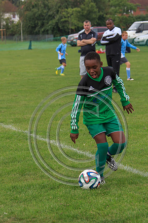 Eldon-2014 588