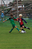 Eldon-2014 043