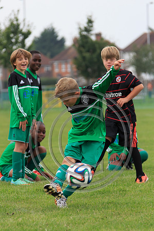 Eldon-2014 612