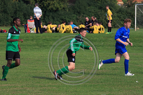 Eldon-2014 1115