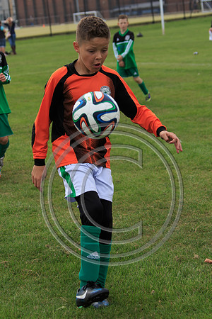 Eldon-2014 579