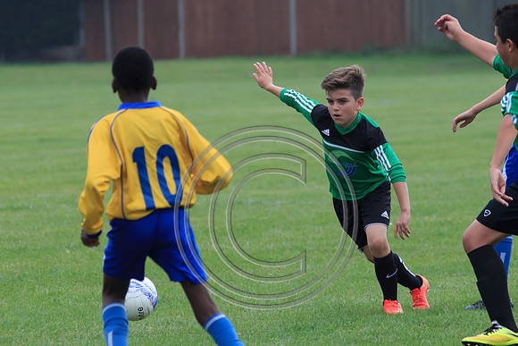 Eldon-2014 704