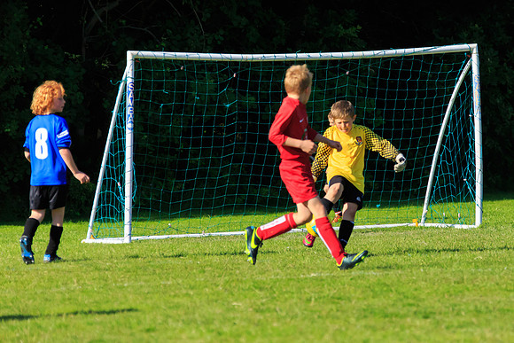 130629 Sandhurst Wanderers U8 at BTJ U9 Trny (547)
