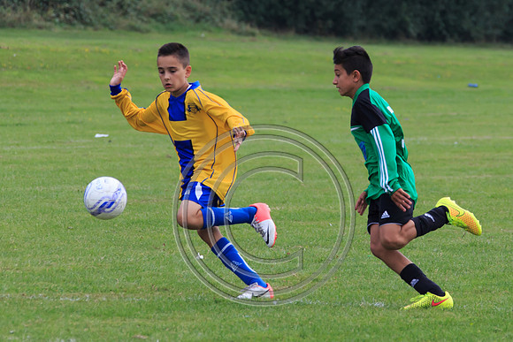 Eldon-2014 678