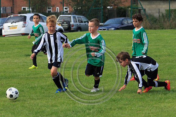 Eldon-2014 870