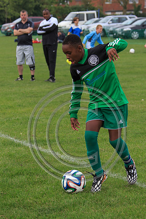Eldon-2014 589