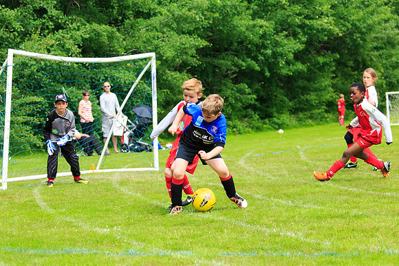 130629 Sandhurst Wanderers U8 at BTJ U9 Trny (22)