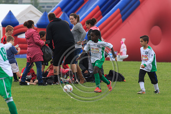 Eldon-2014 493