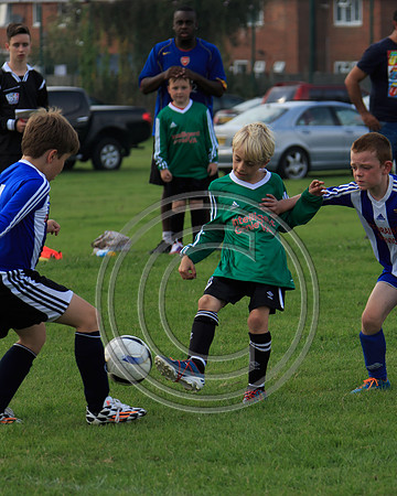 Eldon-2014 929