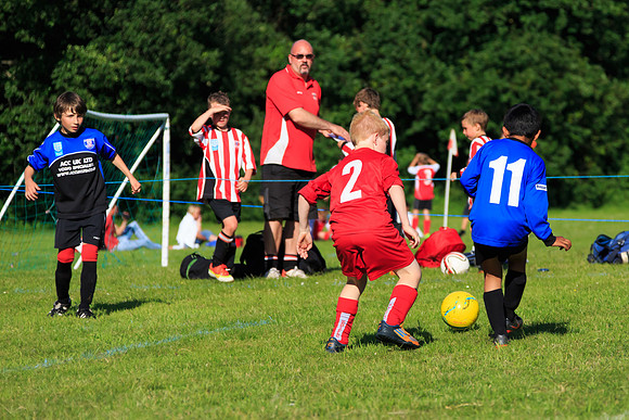 130629 Sandhurst Wanderers U8 at BTJ U9 Trny (544)