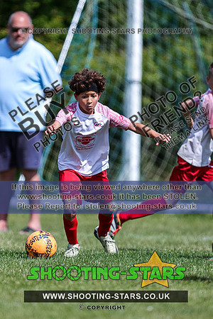 U11EVC-24-0113