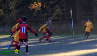 131123 B Cavaliers U9 v Pinewood Pumas 0-3 012