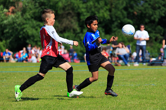 130629 Sandhurst Wanderers U8 at BTJ U9 Trny (285)