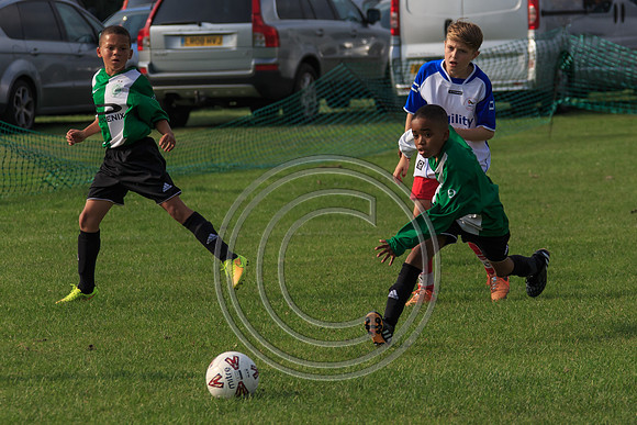 Eldon-2014 1079