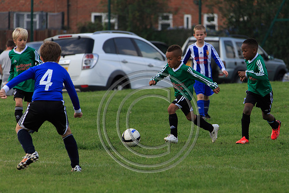 Eldon-2014 921