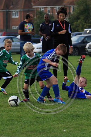 Eldon-2014 928