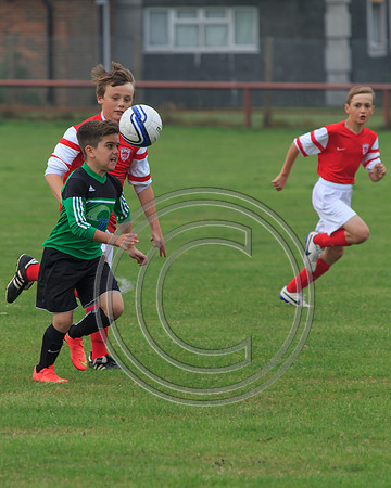 Eldon-2014 089