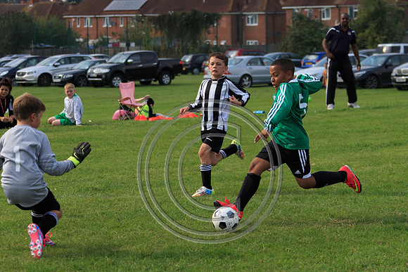 Eldon-2014 871