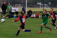 Eldon-2014 024