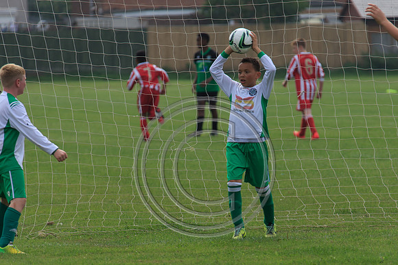 Eldon-2014 620