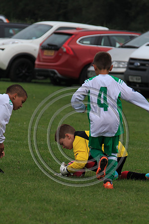 Eldon-2014 342