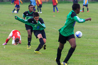 Eldon-2014 106